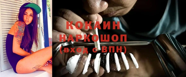 spice Алексин