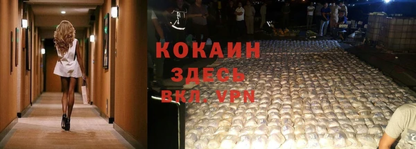дмт Алзамай